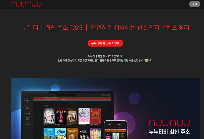 누누티비 운영자, 항소했다가 '역풍'…징역 3년→4년 6개월로 증형 기사 관련이미지