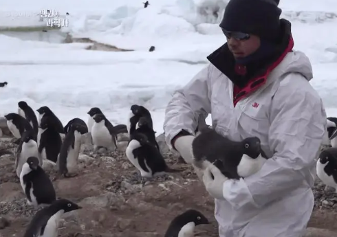펭귄과 과학자 캡쳐