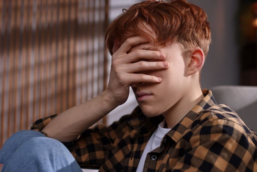 요구도 안 한 '사진'에 성범죄자 될 판…아청법 '소지죄'의 덫 기사 관련이미지