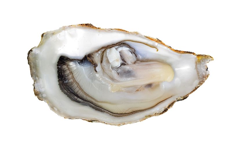 "김장하러 오라"더니…18개월 손주에게 생굴 먹여 장염 유발한 시어머니, 처벌은? 기사 관련이미지