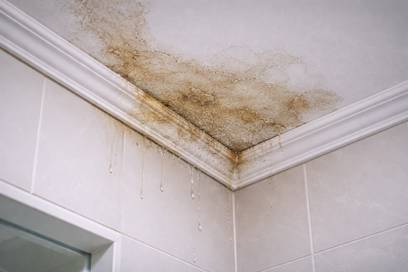 14년 된 아파트 샀는데 한 달 만에 '물난리'…수리비, 전 주인에게 받을 수 있나? 기사 관련이미지