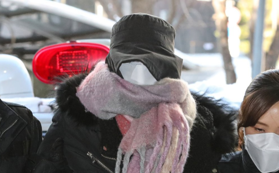 호화 도피 황하나 국적기서 체포, 상습범 인정 시 최대 징역 15년 기사 관련이미지