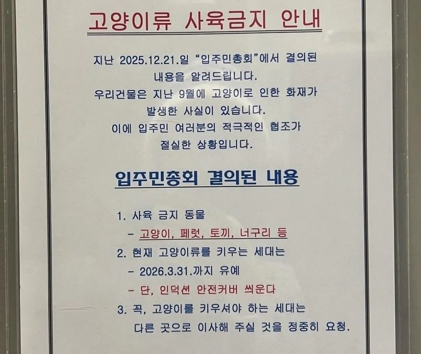 "고양이 키우는 세대 사육금지" 오피스텔 공지, 법적으로 따를 의무는 없다 기사 관련이미지