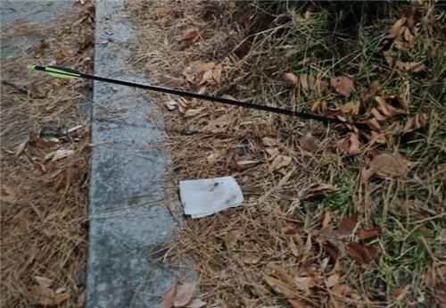 석궁은 규제, 양궁은 클릭하면 배송…청주 공원 겨눈 활, 처벌 규제는 ‘구멍 숭숭’ 기사 관련이미지