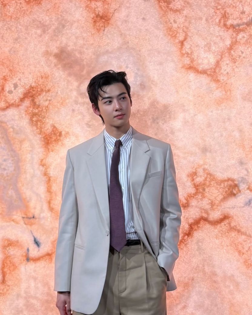 차은우, 세금 200억 덜 냈나? 탈세 의혹… 법조계 "페이퍼컴퍼니 입증이 관건" 기사 관련이미지