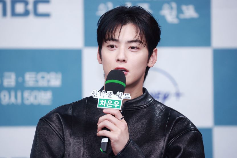 차은우 200억 세금 논란…상법상 '합법'인 장어집 법인이 세법에선 '퇴짜' 맞는 이유 기사 관련이미지