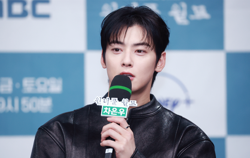 "200억 세금 폭탄" 군 복무 차은우, '가짜 법인' 논란에 소속사가 던진 승부수 기사 관련이미지