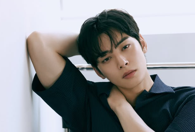 국세청, 차은우에 200억 추징 통보... 실제 구속 가능성은? 기사 관련이미지