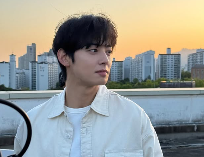 "200억 추징" 차은우, 탈세 의혹 직접 사과 "도피성 입대 아니다" 기사 관련이미지