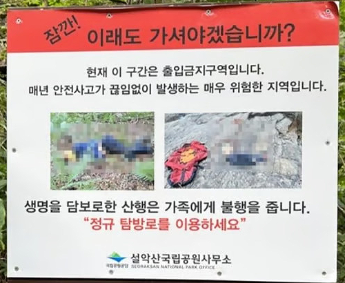 왜 하필 '노모자이크 시신'이었나…설악산이 "구조비 청구" 대신 충격 요법 쓴 법적 속사정 기사 관련이미지