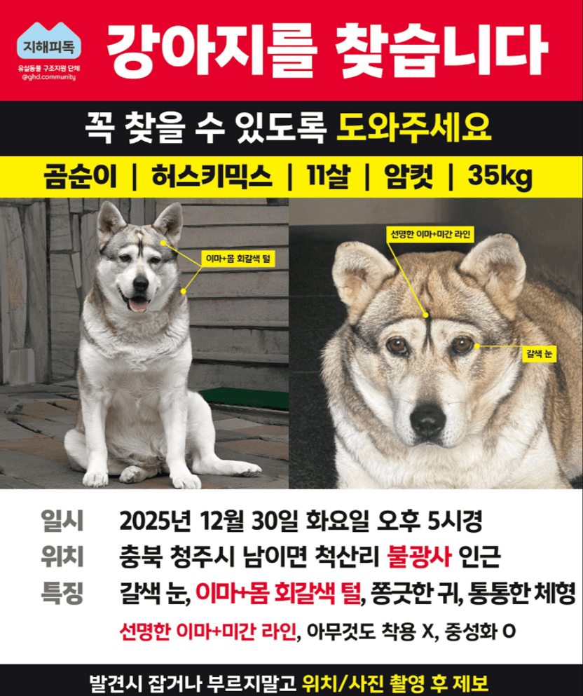 믿고 맡긴 반려견 무단 처분은 '횡령'? 개 농장 끌려간 곰순이 사건으로 본 법적 사각지대 기사 관련이미지