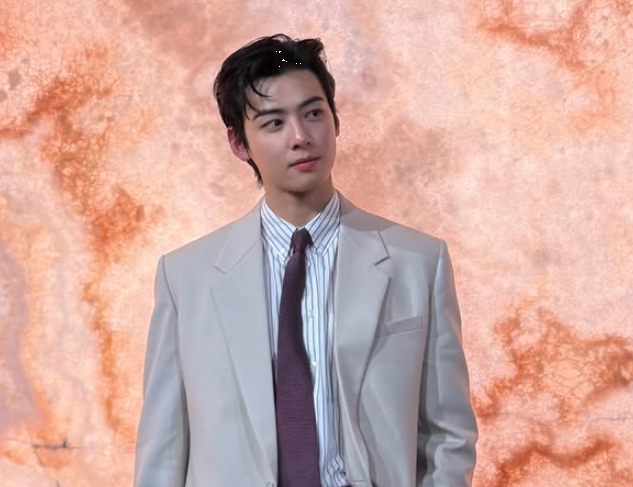 차은우 200억 추징 정보, 누가 흘렸나…세무공무원 처벌은 가능할까 기사 관련이미지