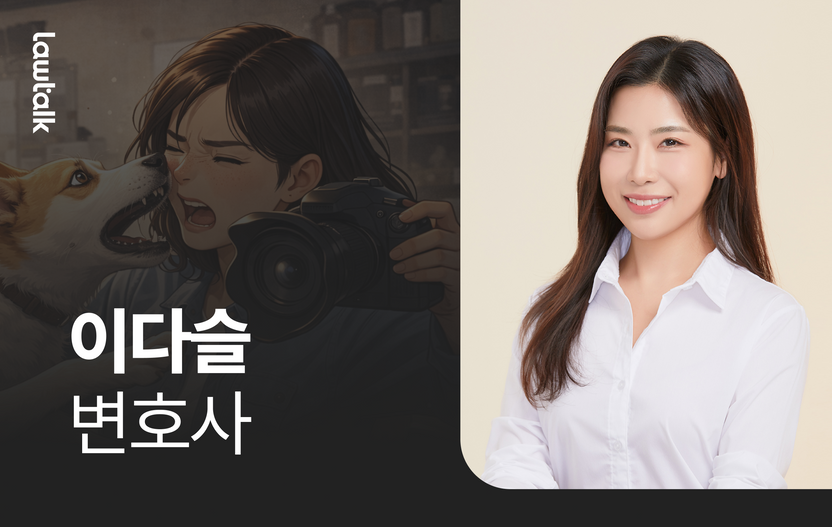 반려견 스튜디오서 강아지한테 코 물린 사진작가, 4500만원 청구했지만 기사 관련이미지