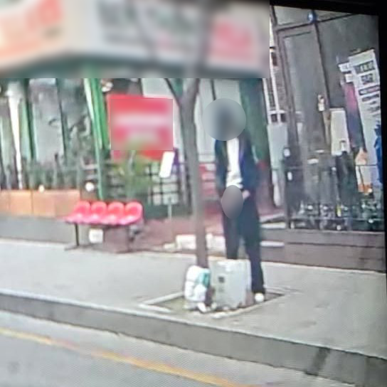 출근길 인파 향해 시원하게 '노상방뇨'한 남성… 공연음란죄일까, 경범죄일까 기사 관련이미지