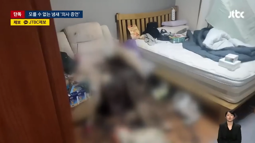 "아내 몸에 구더기" 시체 썩는 냄새 진동했다는 의사 증언⋯'감각'도 증거가 될까 기사 관련이미지