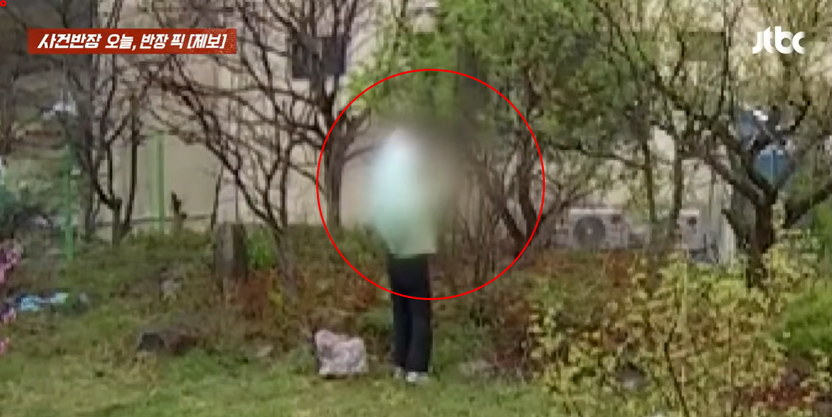 남의 집 마당서 두릅·오가피 '슬쩍'… 홈캠에 딱 걸린 도둑, 처벌에 배상까지 기사 관련이미지