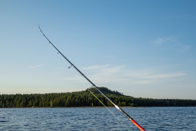 쏘가리 잡으러 강에 전기 넣었다가는, 징역 2년 각오해야 한다 기사 관련이미지