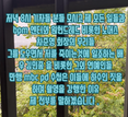 “전부 다 폭로하겠다” MC몽 긴급 방송 예고… 대리 처방·명예훼손 등 법적 쟁점 분석 기사 이미지