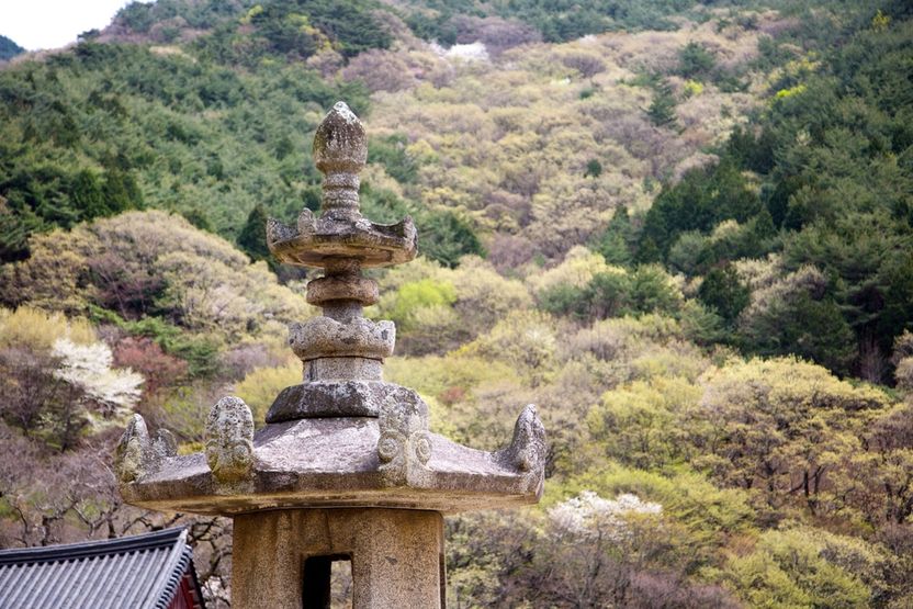 "부처님 모실 공사비"라더니 아들 치과비 결제…신도 돈 꿀꺽한 사찰 총무 기사 관련이미지