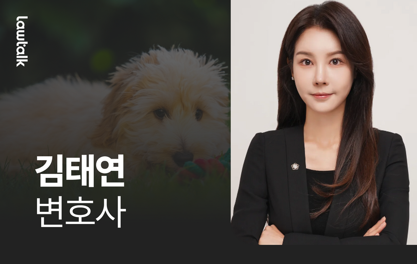 이별 후 뺏긴 강아지, 김태연 변호사 ‘특유재산’ 입증으로 되찾아 기사 관련이미지