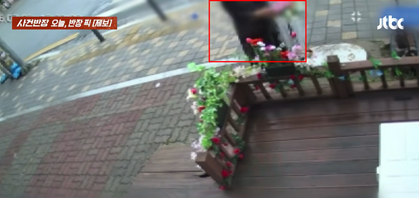 3만원어치 꽃집 조화 훔친 여성…“돌려놔라” 꽃집 주인 경고도 무시, 소액 절도 처벌은? 기사 관련이미지