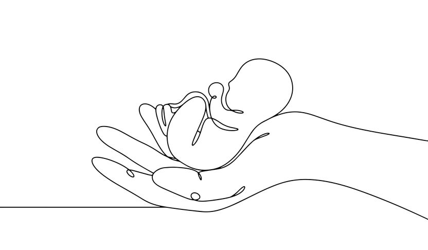 36주 낙태 브이로그 올린 20대 산모, 항소심서 살인죄 '무죄'로 뒤집혔다…이유는? 기사 관련이미지