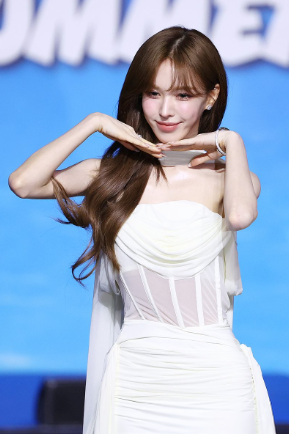 "너무 말랐다" 웬디 향한 오지랖…무심코 키보드 두드렸다간 전과자 됩니다 기사 관련이미지