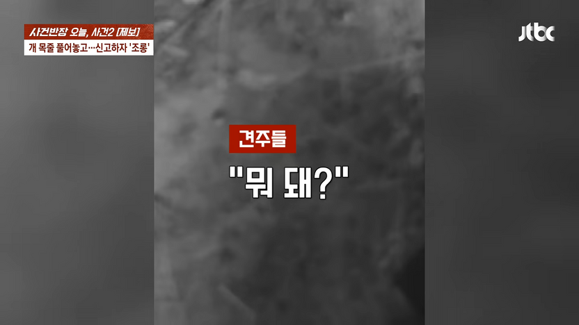 공원에서 오프리쉬 견주 무리가 조롱했는데 모욕죄로 고소할 수 있나요? 기사 관련이미지