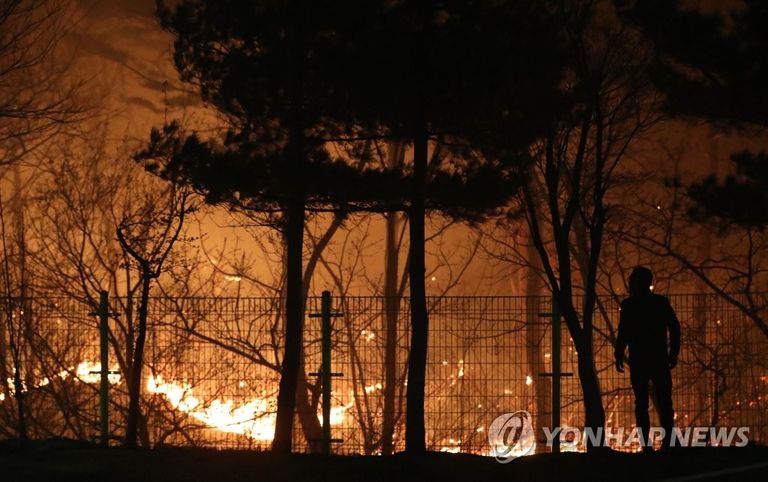 식목일, 강원도 동해안 일대에 "또 대형 산불" 기사 관련이미지