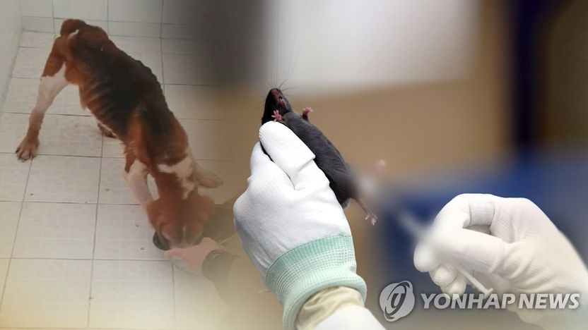 이병천 서울대교수, 사역견 학대 의혹으로 고발당해 기사 관련이미지