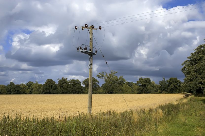사유지에 세워놓은 전신주, 얼마나 보상받아야 하나요? 기사 관련이미지