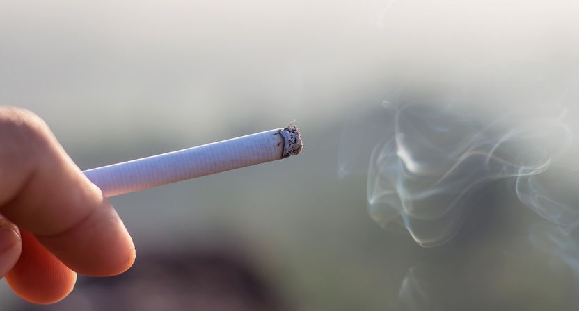 DNA만 있으면 다 잡는다? 이 경우는 있어도 어렵습니다 기사 관련이미지