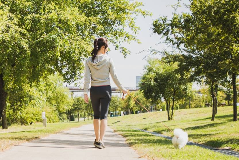 툭 하면 "갖다 버려라" 반려동물 트집 잡는 남편, 이혼 사유 될 수 있을까 기사 관련이미지