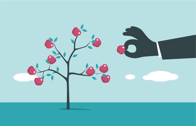 이웃집 정원 안에 열린 과일 서리⋯처벌됩니다 기사 관련이미지