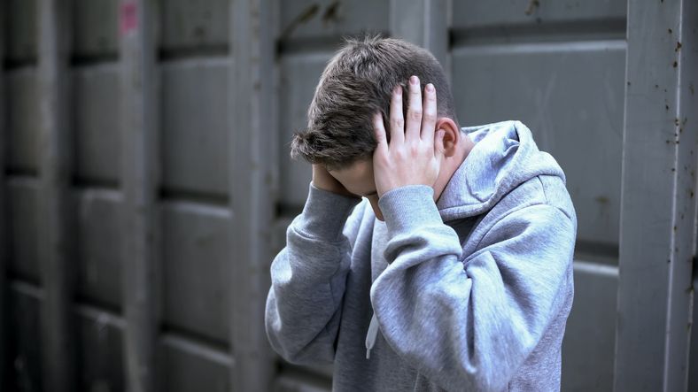 "친구들이 훔쳤고 저는 망만 봤어요" 그래도 같이 처벌됩니다 기사 관련이미지