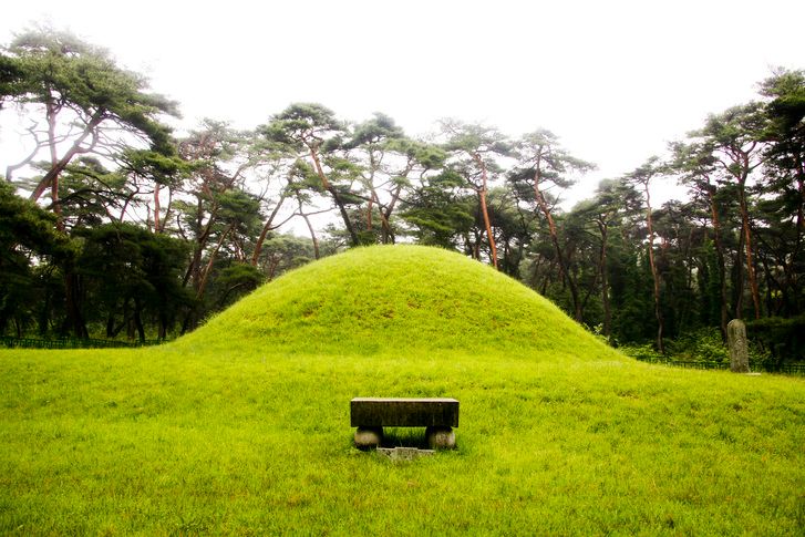 우리 할아버지 묘 함부로 파헤친 사람들⋯왜 처벌을 못 하죠? 기사 관련이미지
