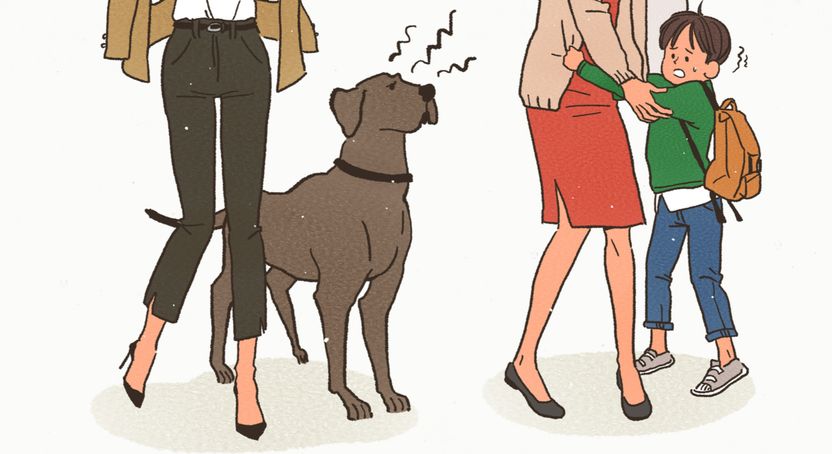 산책 중 남의 집 개에게 물려 다쳤는데⋯얼마나 보상받는 게 적절할까요? 기사 관련이미지