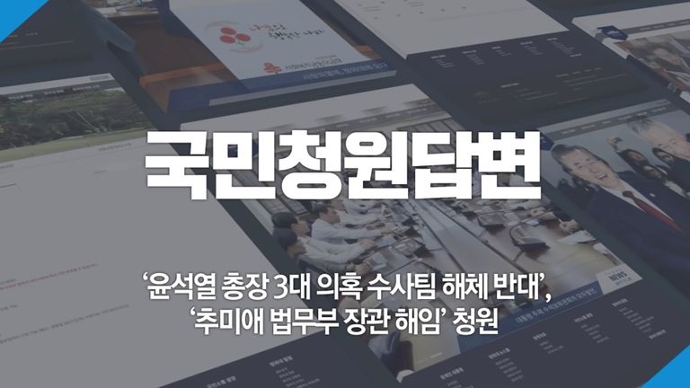 청와대는 11일 청와대를 수사하는 3개 수사팀을 방해하기 위해 인사이동을 시켰다는 의혹에 대해 답변했다. /청와대