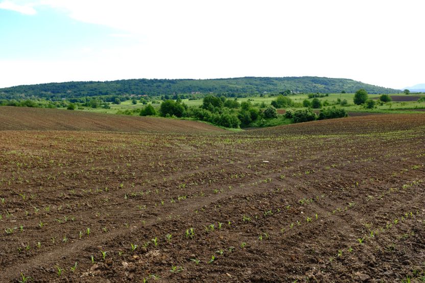 계약서 없이 10년 넘게 빌려준 땅, '말썽 없이' 온전히 돌려받는 방법 기사 관련이미지
