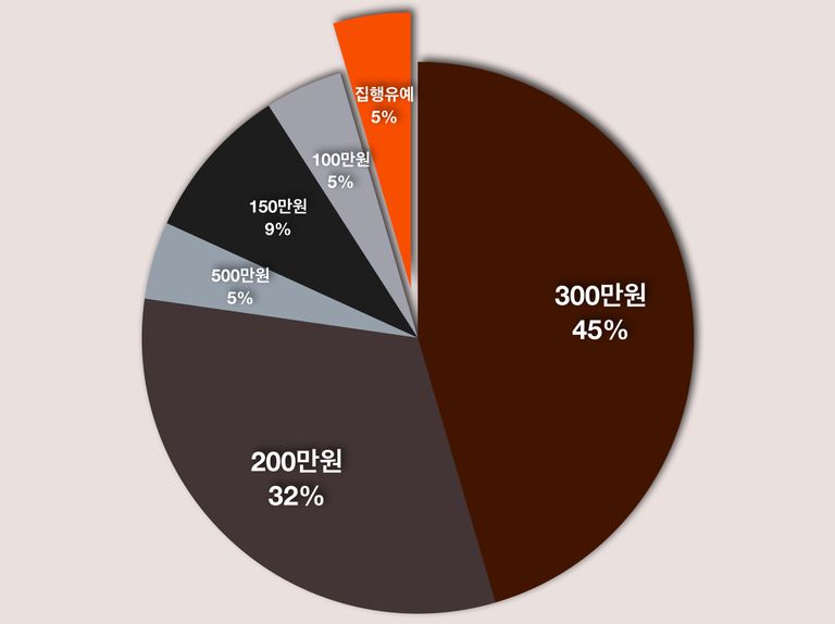 로톡뉴스가 아동⋅청소년이용 음란물 소지죄 판결문 22건의 처벌 수위를 분석한 결과 대부분이 벌금형에 그쳤다. /그래픽=엄보운 기자
