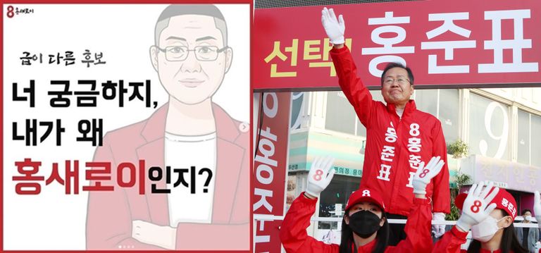 "너 궁금하지? 홍준표가 왜 '홍새로이'를 삭제했는지" 기사 관련이미지