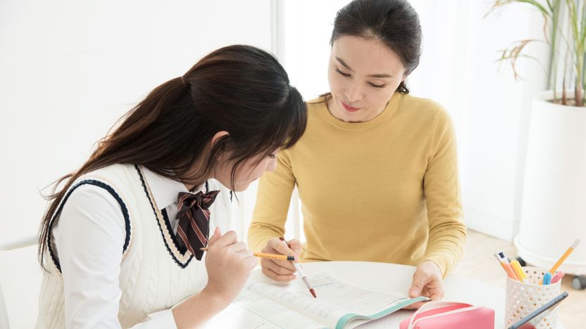 "과외 중개업체 빼고 직접 계약해도 되나요?" "됩니다. 그런데 약관은 확인하셨나요?" 기사 관련이미지