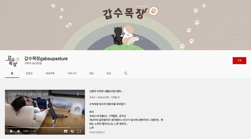 '동물 학대 논란' 유튜버 갑수목장에 적용할 수 있는 법 조항 싹 다 검토해봤다 기사 관련이미지