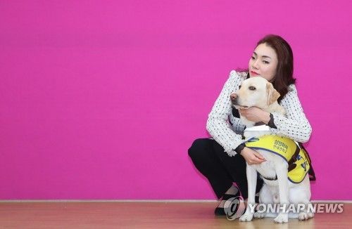 왜 국회가 '은혜' 베푼 것처럼 포장하나⋯애초에 안내견은 '허가'의 대상이 아닌데 기사 관련이미지