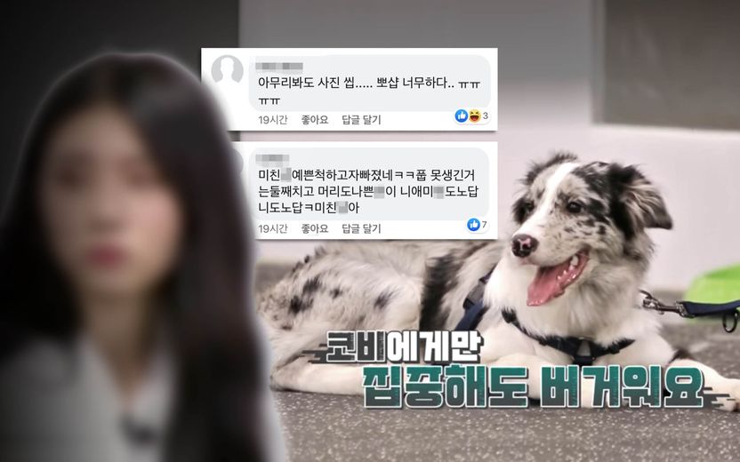 온라인서 집중 공격받는 '개훌륭' 코비 보호자⋯함부로 신상 털었다간 최대 징역 5년 기사 관련이미지
