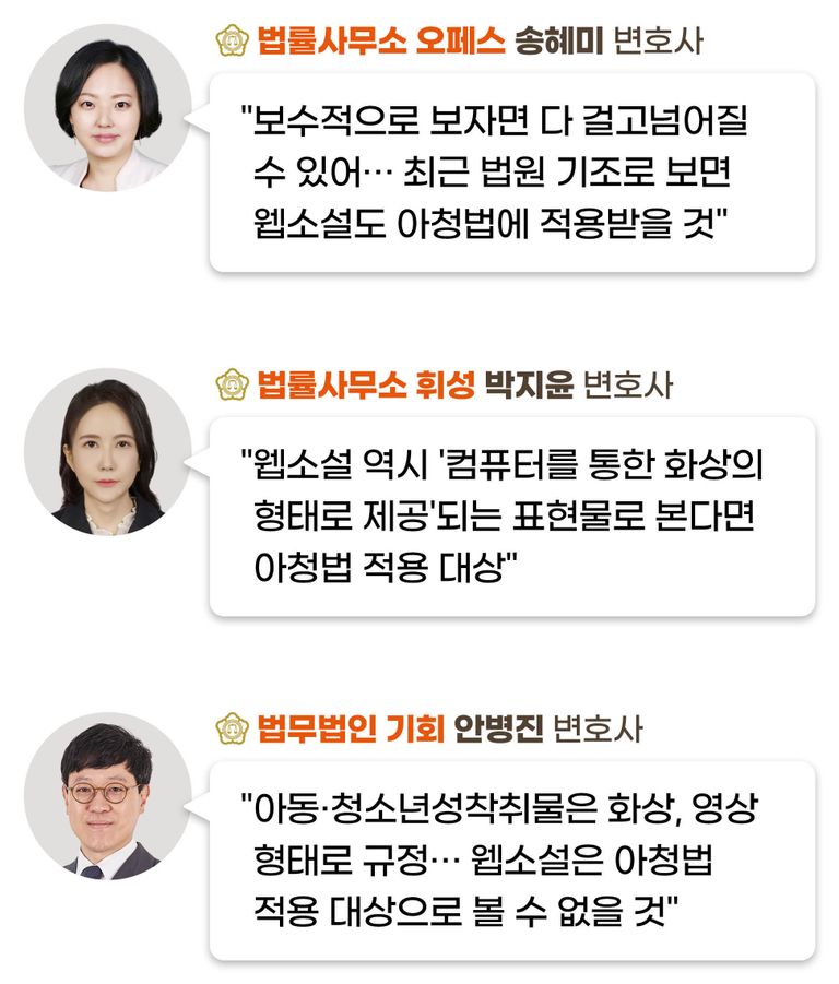 웹소설을 아청법 적용대상으로 볼 수 있는지에 대한 변호사들의 의견. /로톡 DB⋅편집=이지현 디자이너
