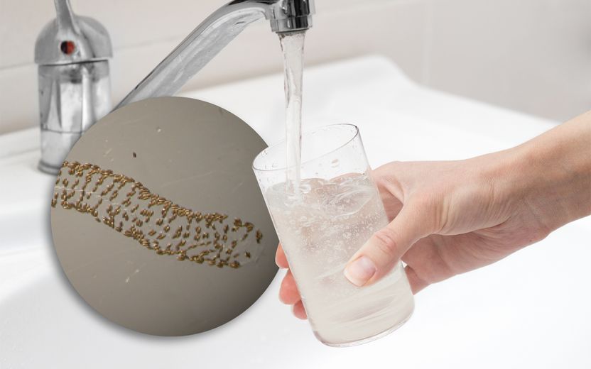 붉은수돗물 이어 이번엔 벌레 유충⋯'관리책임' 인천시, 1인당 10만원씩 손해배상 할 수도 기사 관련이미지