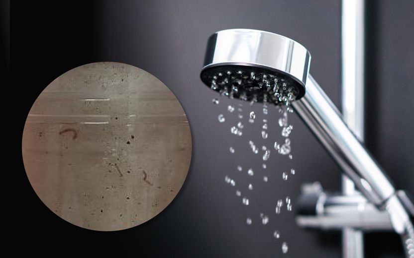 점점 확산되는 '수돗물 유충' 민원⋯책임자 처벌은 안 되지만, 소송 가면 수천억대 배상금 기사 관련이미지