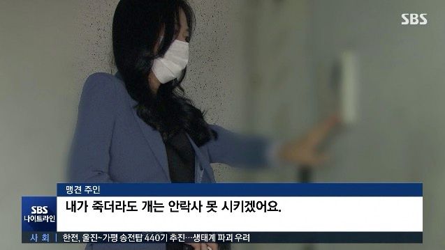 주인은 "못하겠다" 하는데⋯스피츠 물어 죽인 로트와일러, 안락사 강제 가능할까? 기사 관련이미지