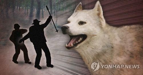 사람 물었는데 "우리 개는 맹견에 속하지 않아 입마개 할 의무 없다" 주장한 견주의 최후 기사 관련이미지